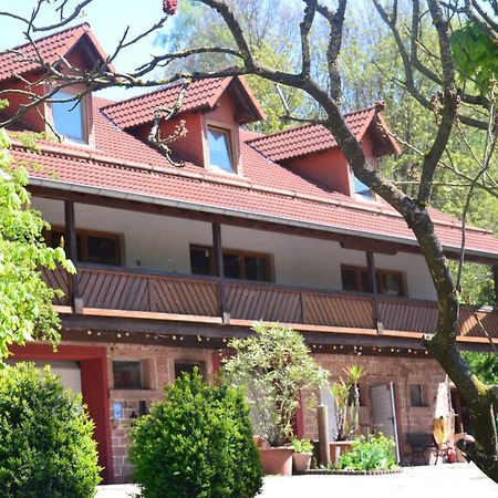 Ferienwohnungen Hof Heiderich Oberzent Dış mekan fotoğraf