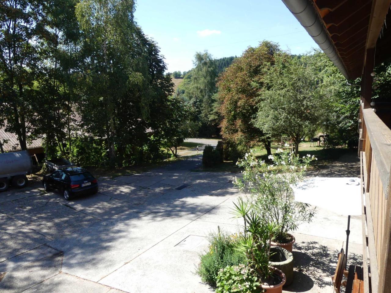 Ferienwohnungen Hof Heiderich Oberzent Dış mekan fotoğraf